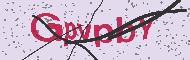Captcha認証コード