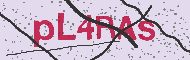Captcha認証コード